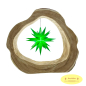 Preview: - Kopie