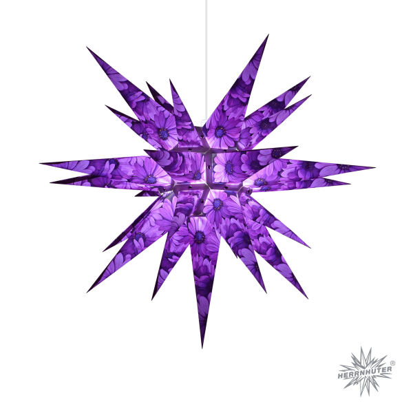 Herrnhuter Stern i6, Kapmargerite